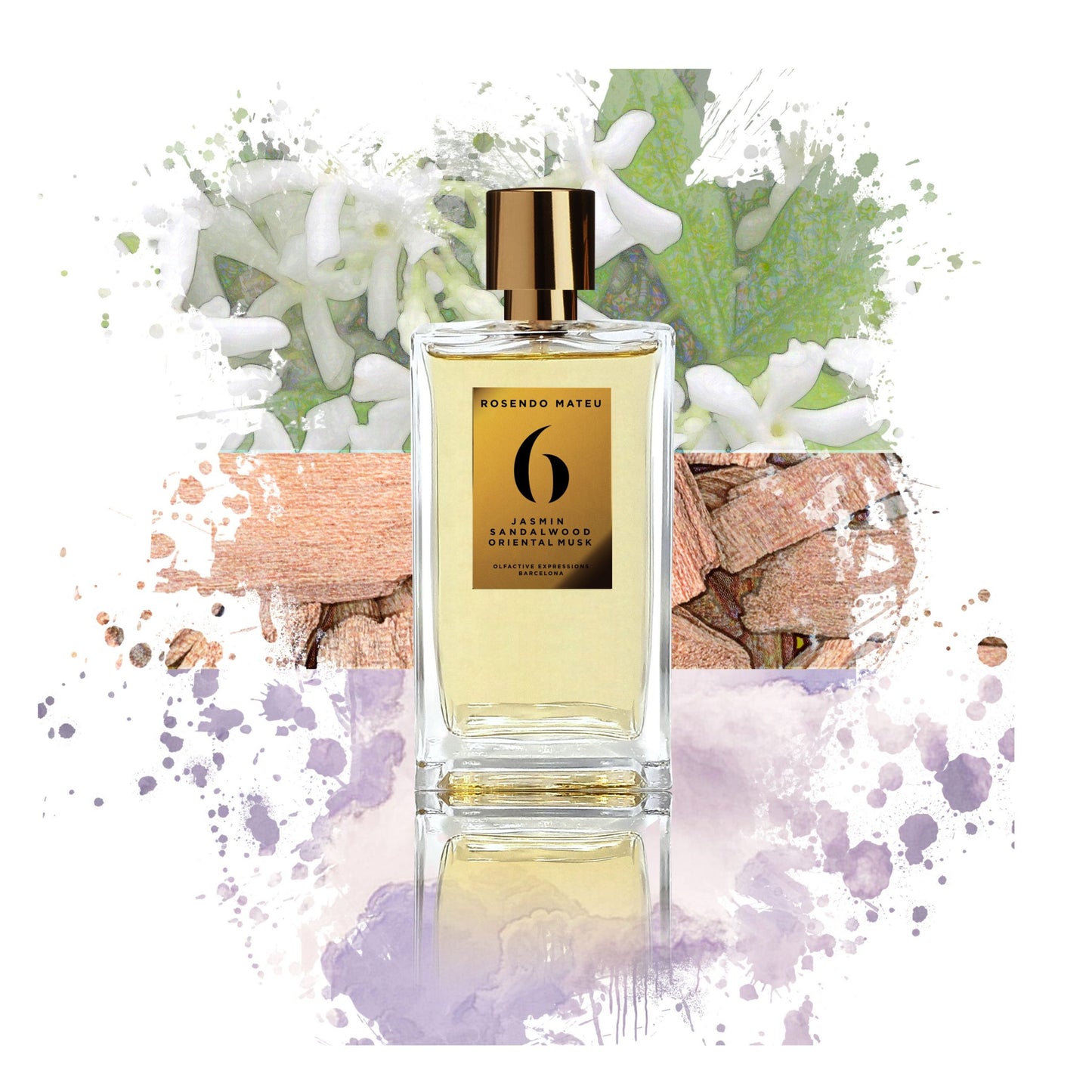 Rosendo Mateu No 6 Olfactive Expressions Barcelona Eau de Parfum